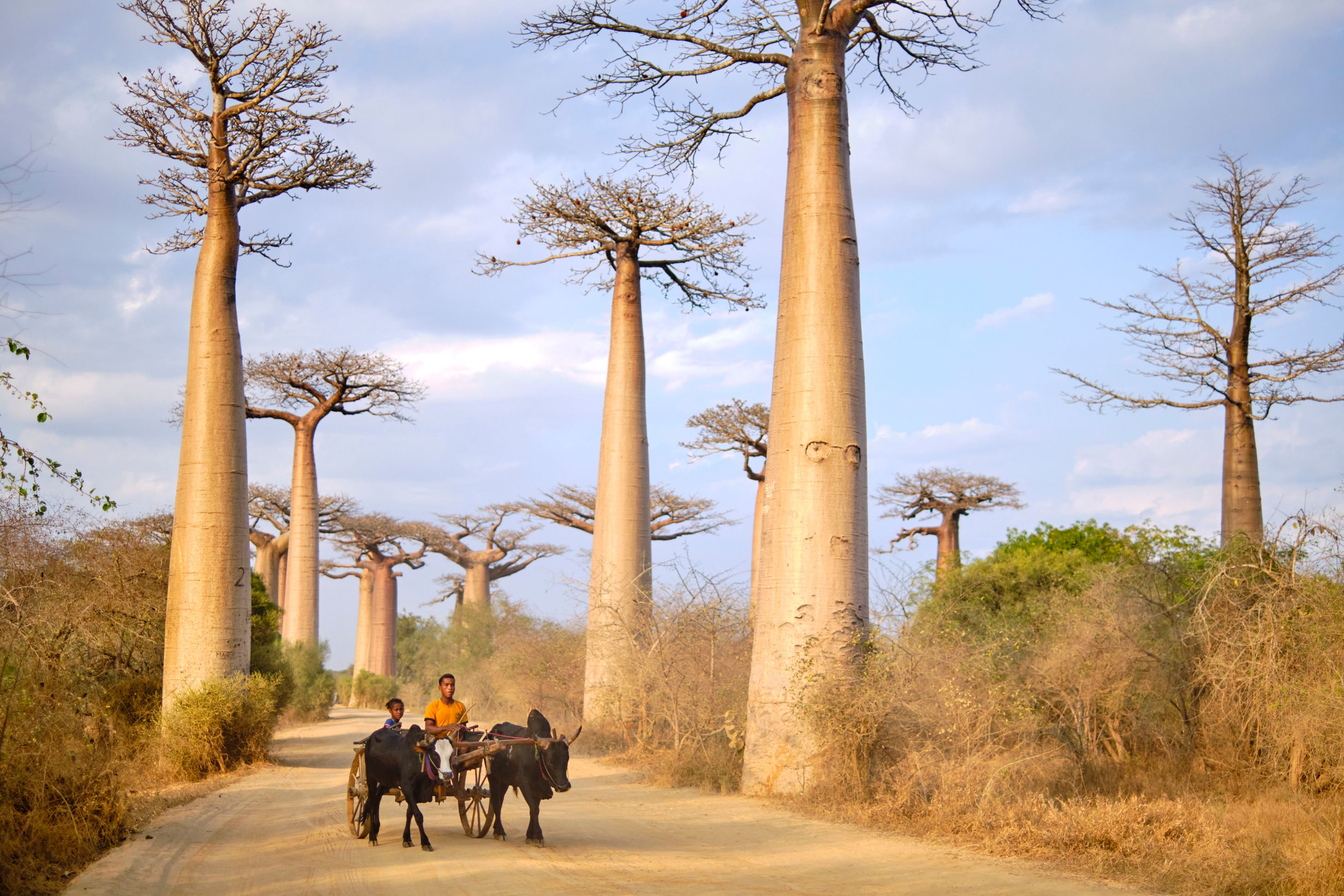 Madagascar