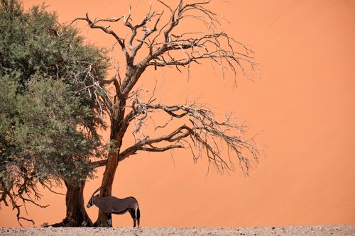 Namibia