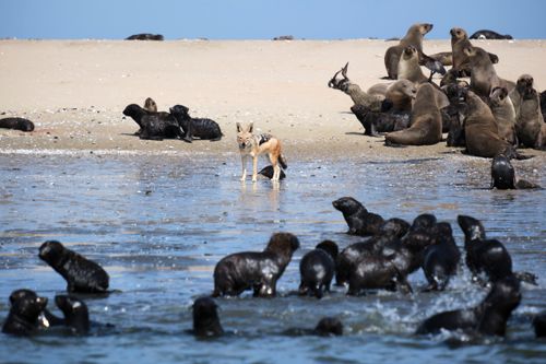 Namibia