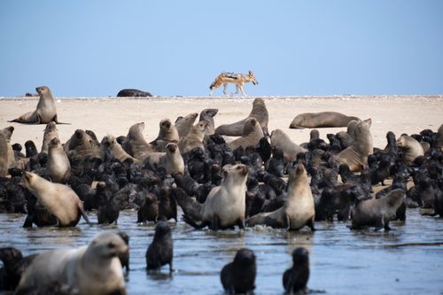 Namibia