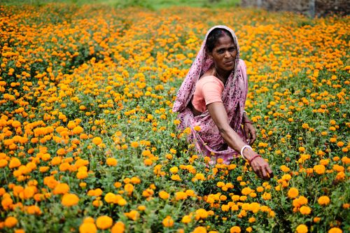 Calcutta