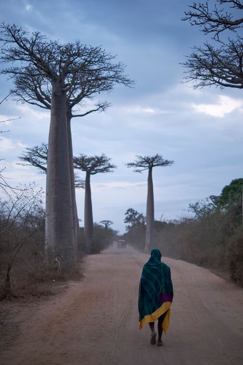 Madagascar