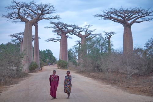 Madagascar