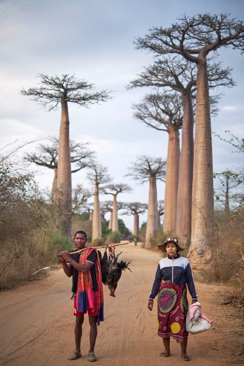 Madagascar