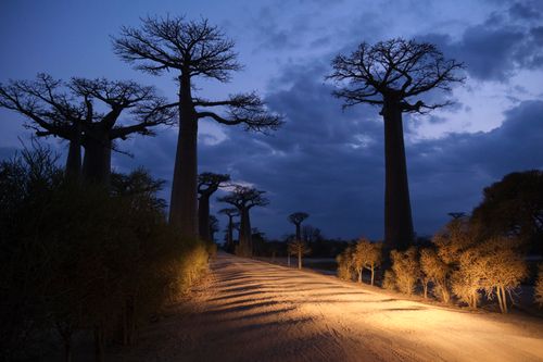 Madagascar