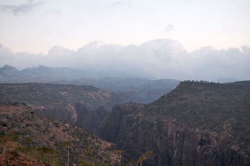 Socotra