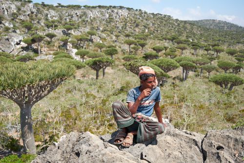 Socotra