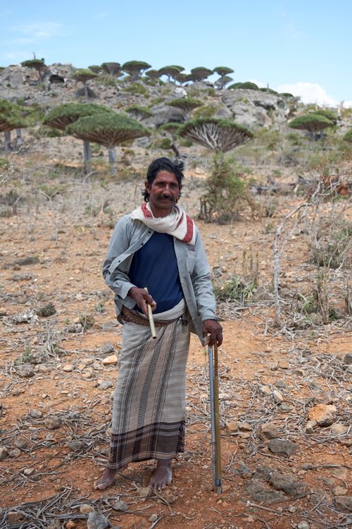 Socotra