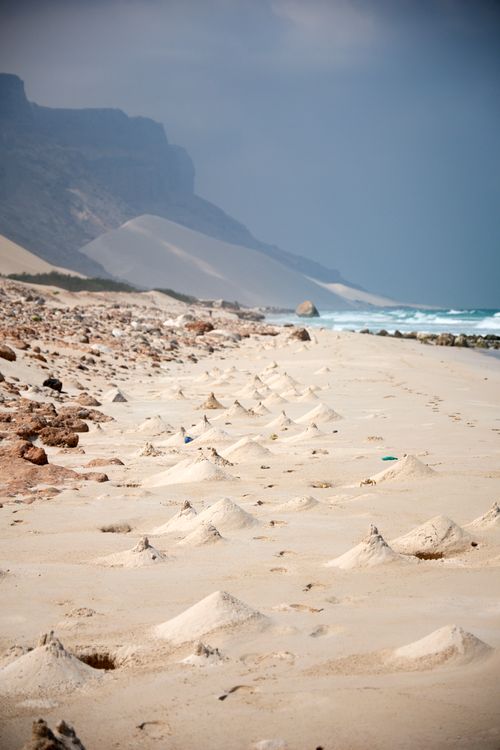 Socotra
