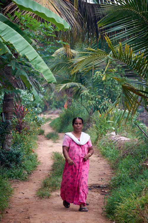 South India