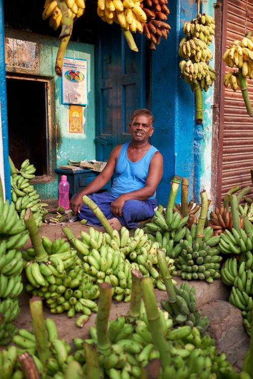 South India