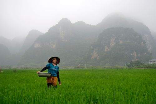 VietNam