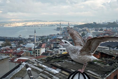 Istanbul