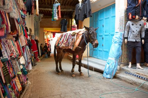 Medina, Fes